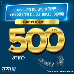 מטבחי רובי